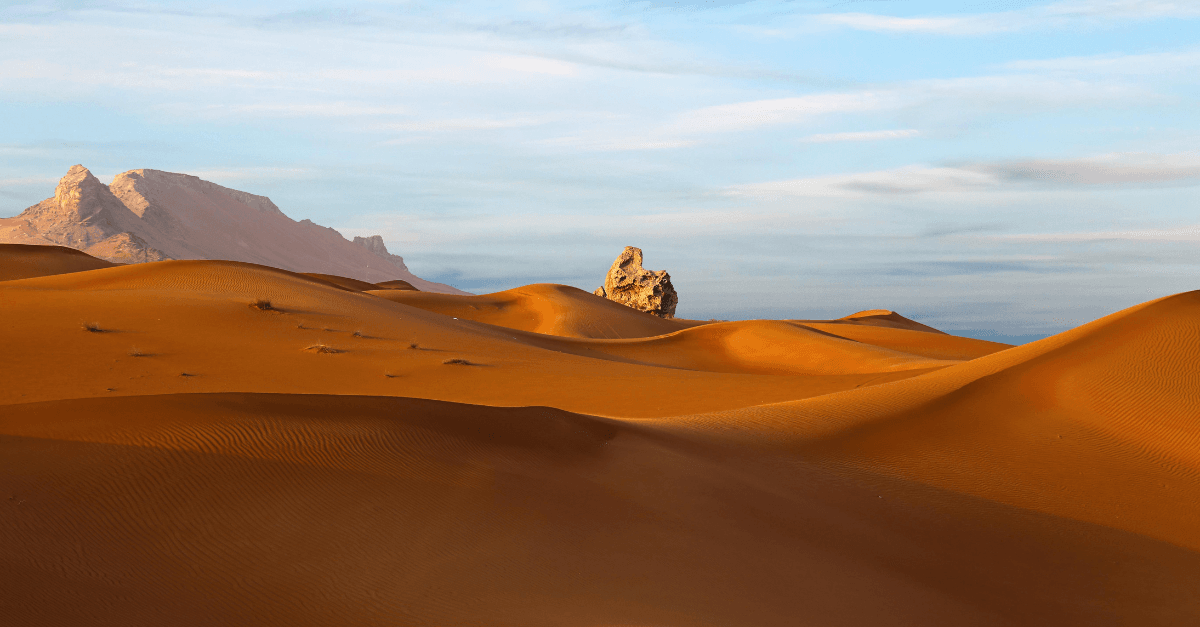 Why autumn is the most strategic time for exhibiting in the UAE?